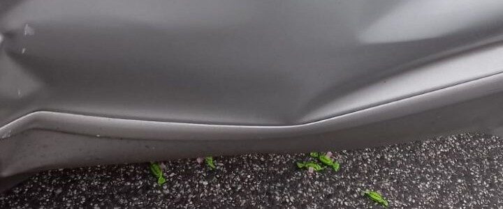 Vorsicht! Schadenregulierung
